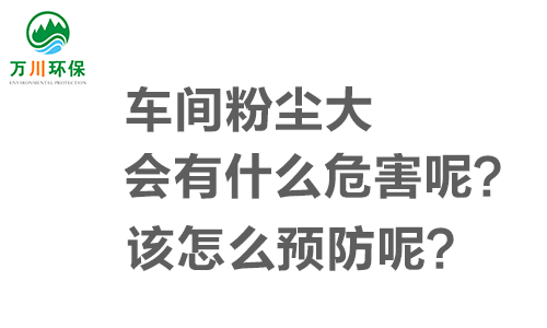 車間粉塵大會有什么危害呢？該怎么預(yù)防呢？